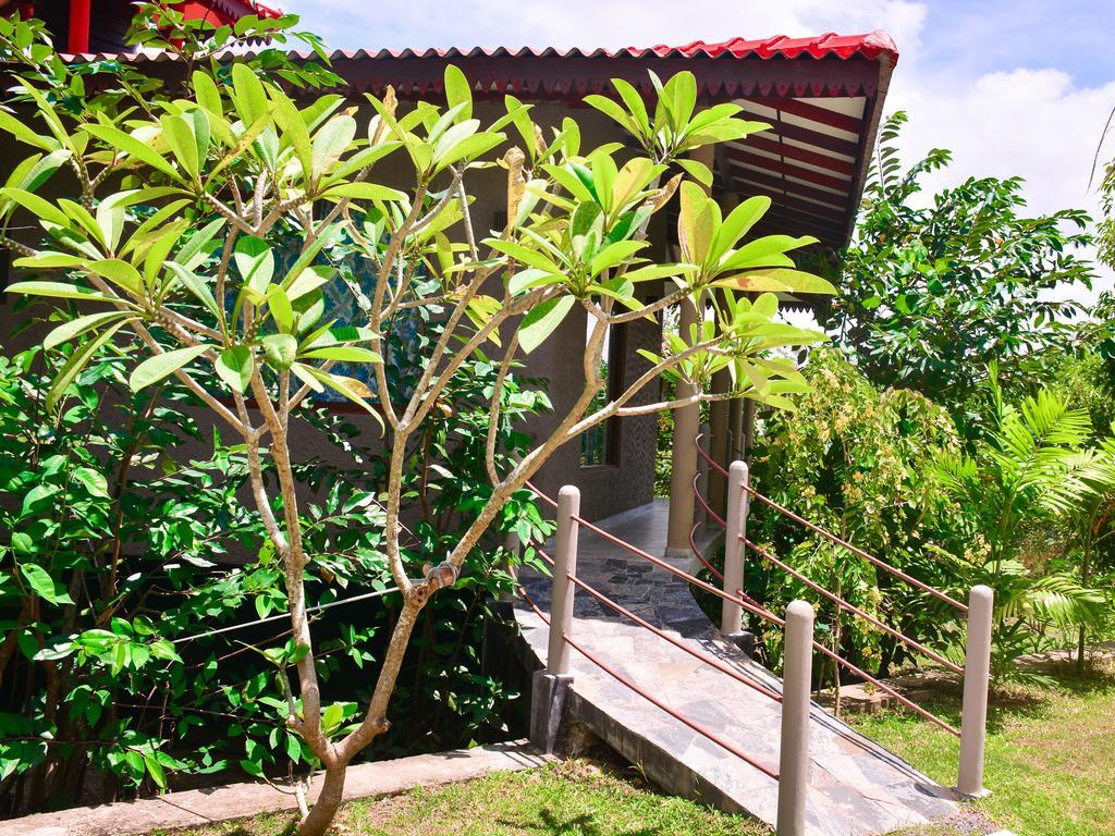 Mass Eco Cabana Yoga & Spa - Unawatuna Eksteriør billede
