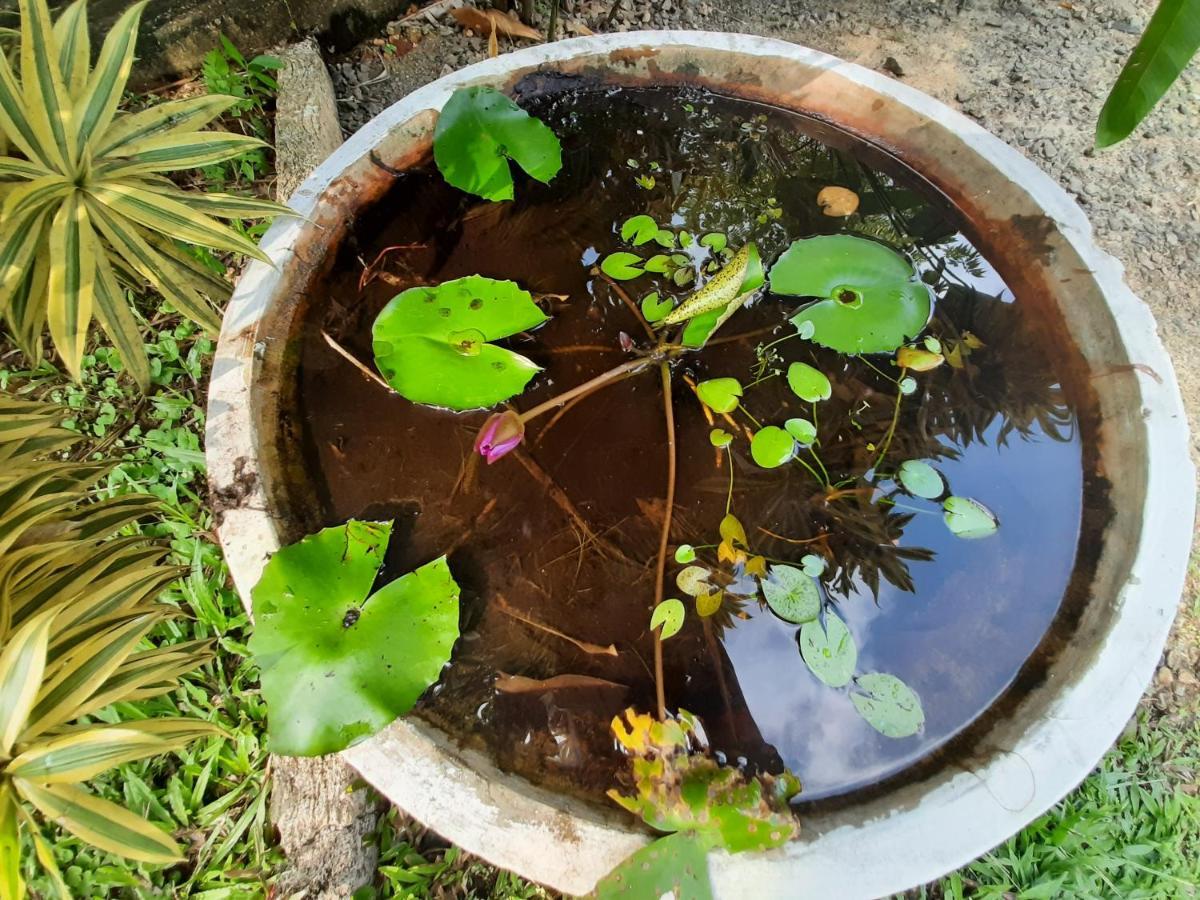 Mass Eco Cabana Yoga & Spa - Unawatuna Eksteriør billede